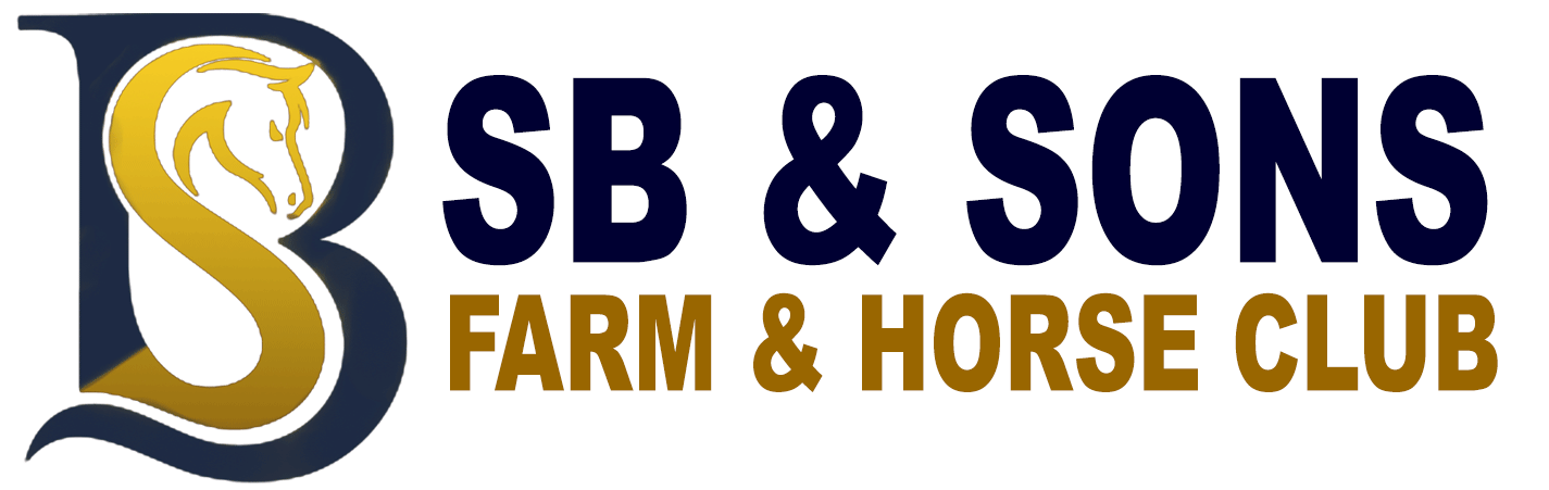 Header Logo