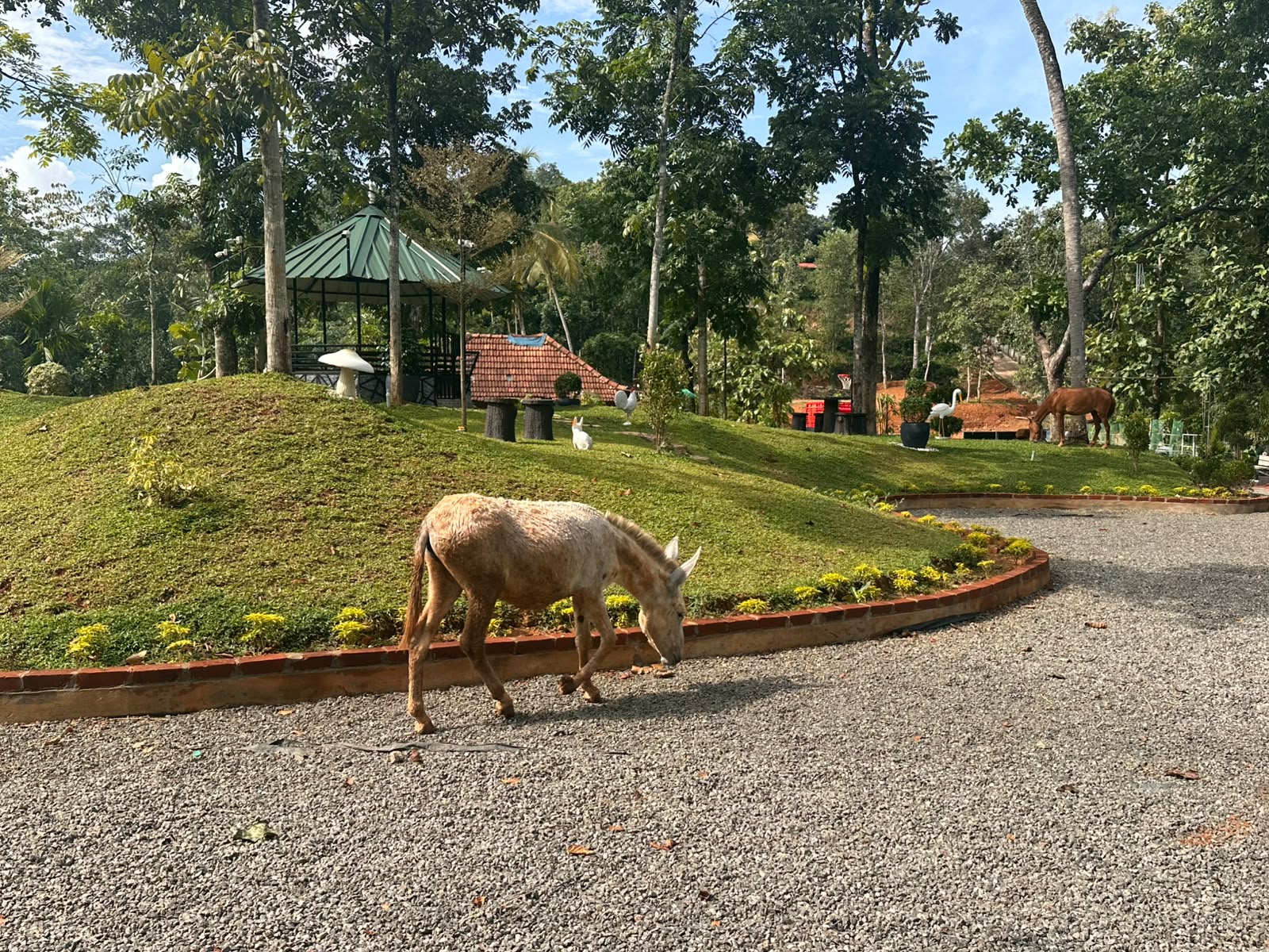 Horse Farm Services